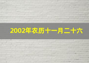 2002年农历十一月二十六