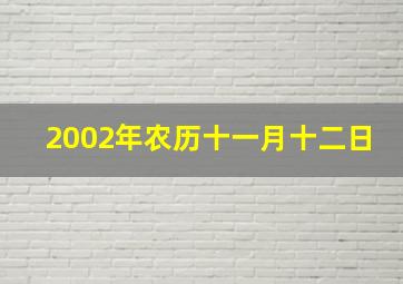 2002年农历十一月十二日