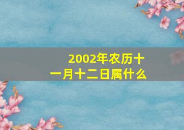 2002年农历十一月十二日属什么