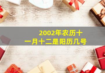 2002年农历十一月十二是阳历几号