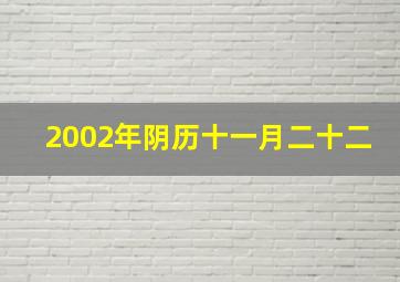 2002年阴历十一月二十二