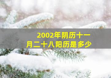 2002年阴历十一月二十八阳历是多少