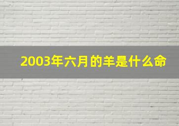 2003年六月的羊是什么命