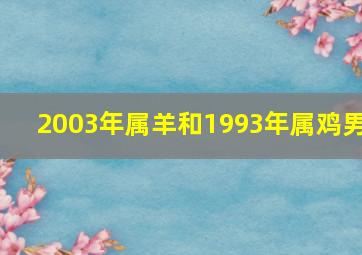 2003年属羊和1993年属鸡男