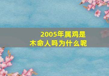 2005年属鸡是木命人吗为什么呢