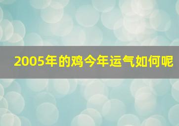 2005年的鸡今年运气如何呢