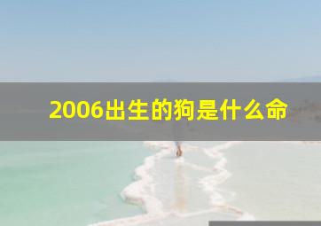 2006出生的狗是什么命