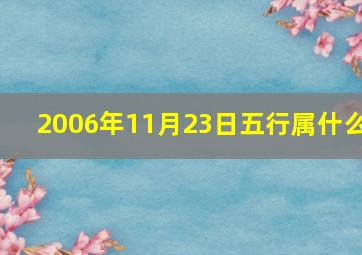 2006年11月23日五行属什么