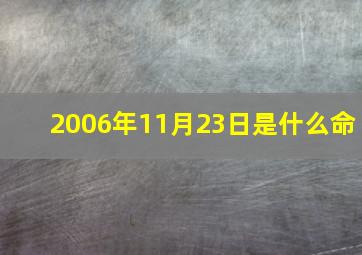 2006年11月23日是什么命