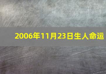 2006年11月23日生人命运