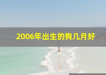 2006年出生的狗几月好