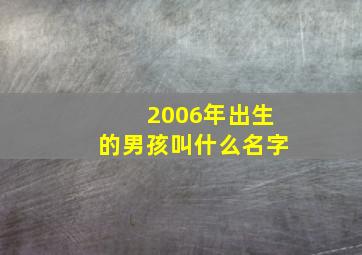 2006年出生的男孩叫什么名字