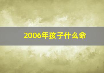 2006年孩子什么命