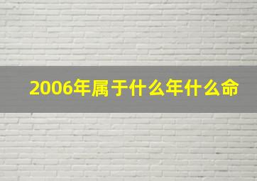 2006年属于什么年什么命