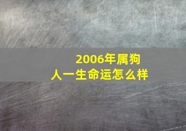 2006年属狗人一生命运怎么样