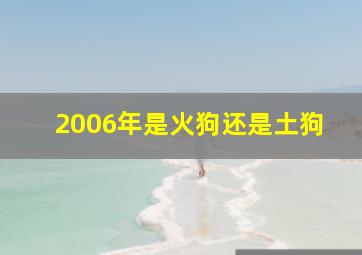 2006年是火狗还是土狗