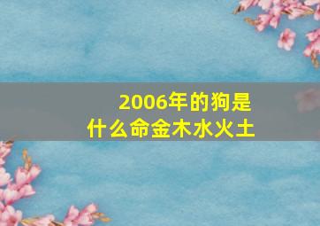 2006年的狗是什么命金木水火土