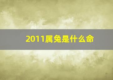 2011属兔是什么命