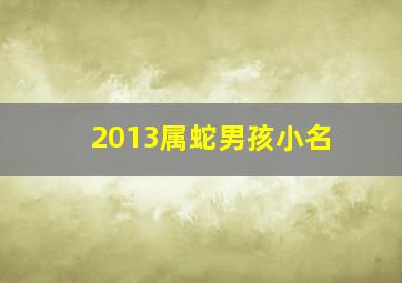 2013属蛇男孩小名