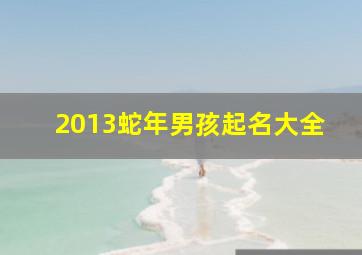 2013蛇年男孩起名大全