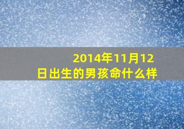 2014年11月12日出生的男孩命什么样