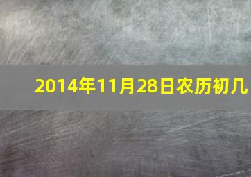 2014年11月28日农历初几