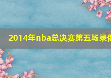 2014年nba总决赛第五场录像