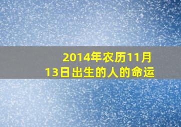 2014年农历11月13日出生的人的命运