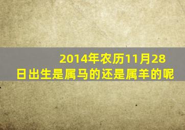 2014年农历11月28日出生是属马的还是属羊的呢