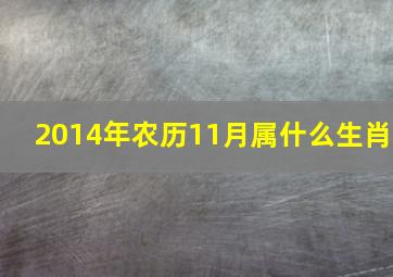 2014年农历11月属什么生肖