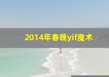 2014年春晚yif魔术