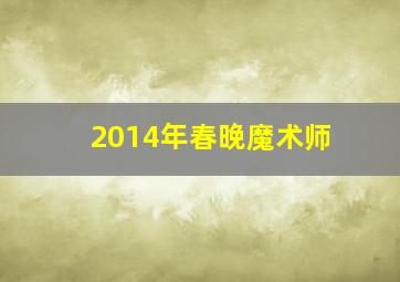 2014年春晚魔术师