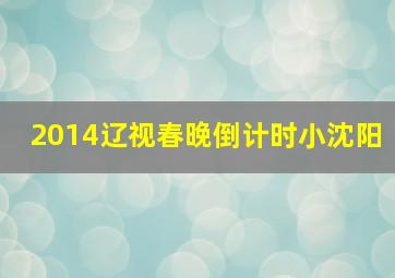 2014辽视春晚倒计时小沈阳