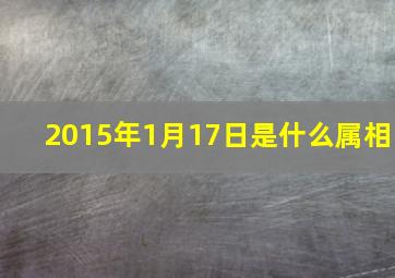 2015年1月17日是什么属相