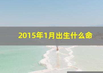 2015年1月出生什么命