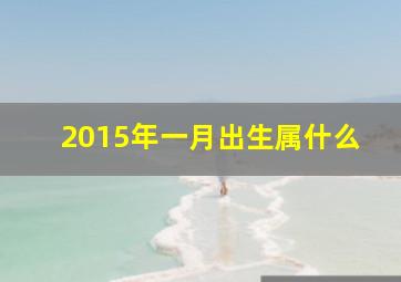 2015年一月出生属什么