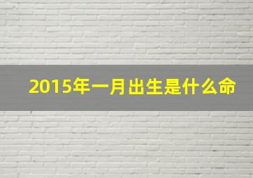 2015年一月出生是什么命