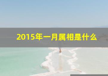 2015年一月属相是什么