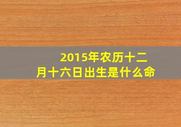 2015年农历十二月十六日出生是什么命