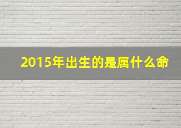 2015年出生的是属什么命