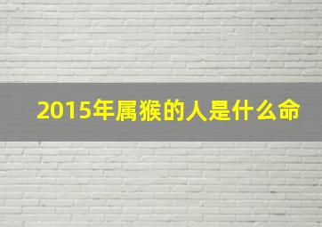 2015年属猴的人是什么命