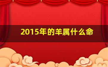 2015年的羊属什么命