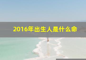 2016年出生人是什么命