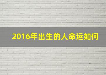 2016年出生的人命运如何