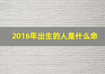 2016年出生的人是什么命