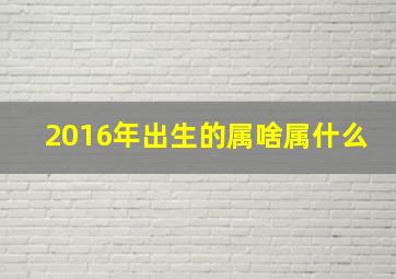 2016年出生的属啥属什么