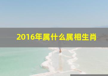 2016年属什么属相生肖