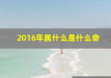 2016年属什么是什么命