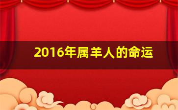 2016年属羊人的命运