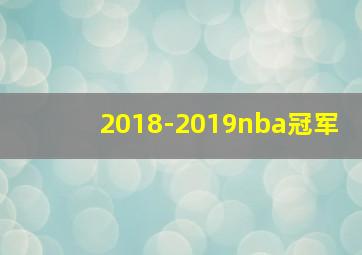 2018-2019nba冠军